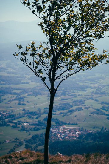 Wanderparadies Grüner Karst Ausflugsziele & Tipps für Sloweniens Süden