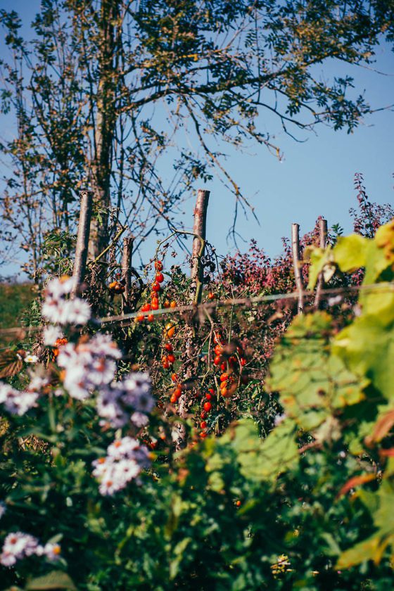 Wanderparadies Grüner Karst Ausflugsziele & Tipps für Sloweniens Süden