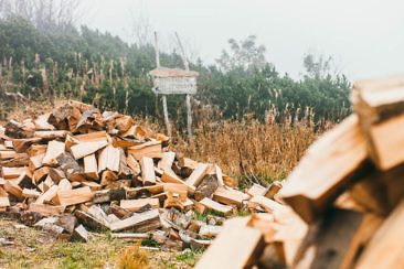 Wanderparadies Grüner Karst Ausflugsziele & Tipps für Sloweniens Süden