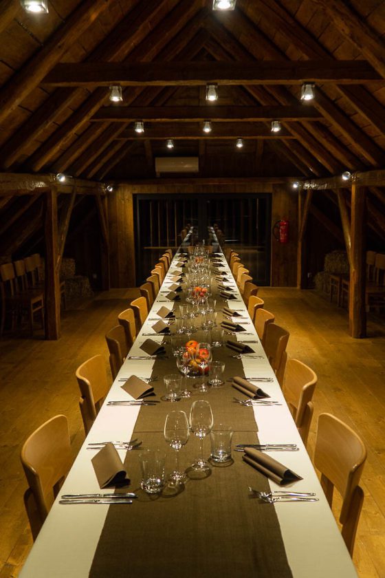 Wanderparadies Grüner Karst: Ausflugsziele & Tipps für Sloweniens Süden