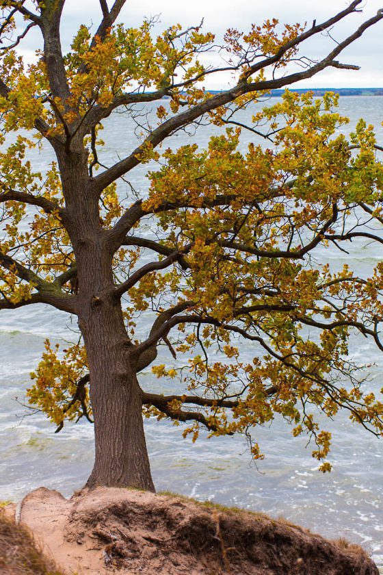 Usedom Geheimtipp Naturnaher & nachhaltiger Urlaub auf der Halbinsel Gnitz