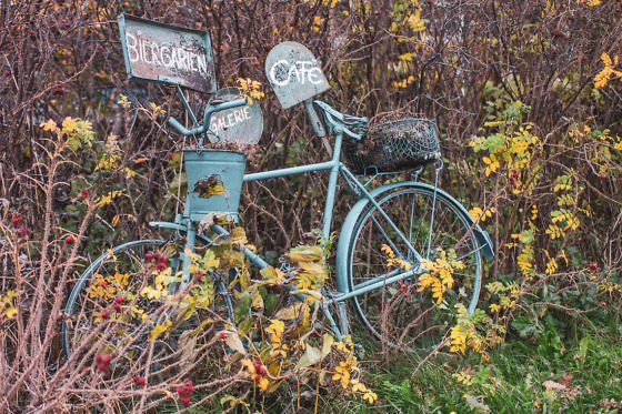 Usedom Geheimtipp Naturnaher & nachhaltiger Urlaub auf der Halbinsel Gnitz
