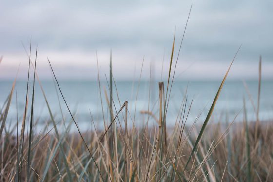 Usedom Geheimtipp Naturnaher & nachhaltiger Urlaub auf der Halbinsel Gnitz