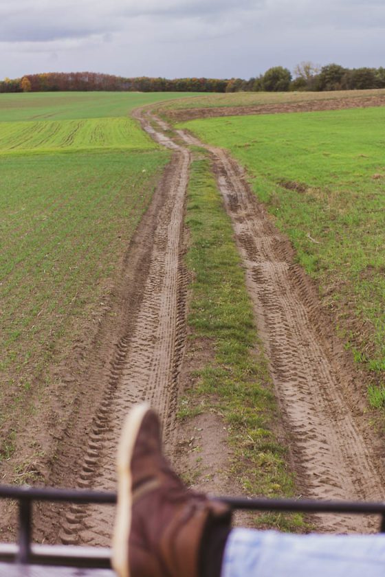 Usedom Geheimtipp Naturnaher & nachhaltiger Urlaub auf der Halbinsel Gnitz