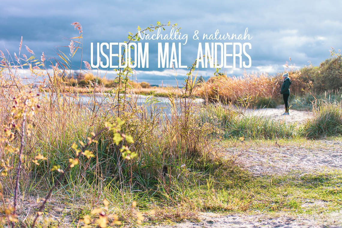 Usedom Geheimtipp: Naturnaher & nachhaltiger Urlaub auf der Halbinsel Gnitz