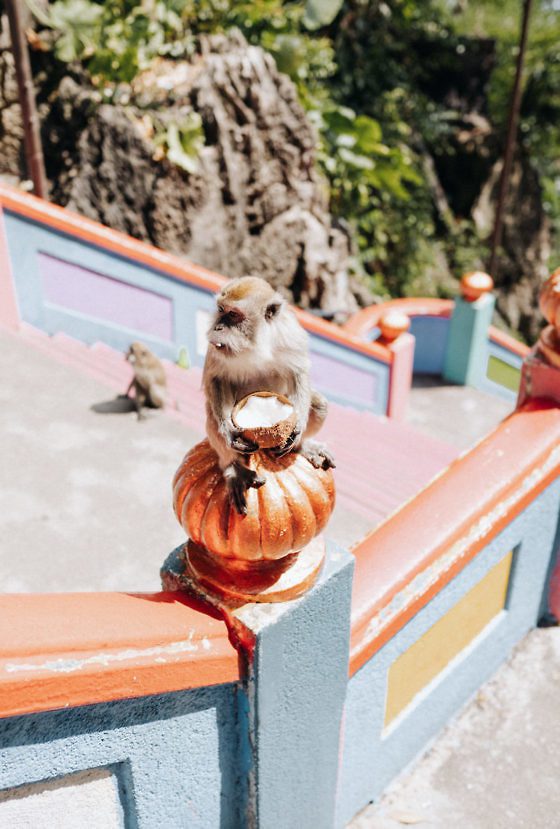 Rundreise Malaysia: Route & Reisevorbereitung für 2 Wochen