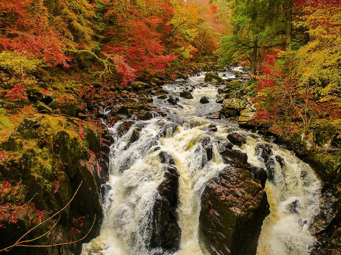 Herbstwandern in Schottland - Braan Walk @ The Hermitage, Dunkeld