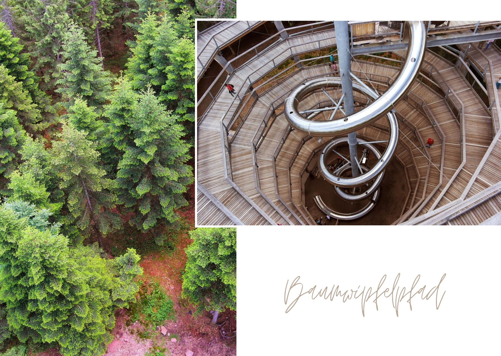 Baumwipfelpfad Bad Wildbad