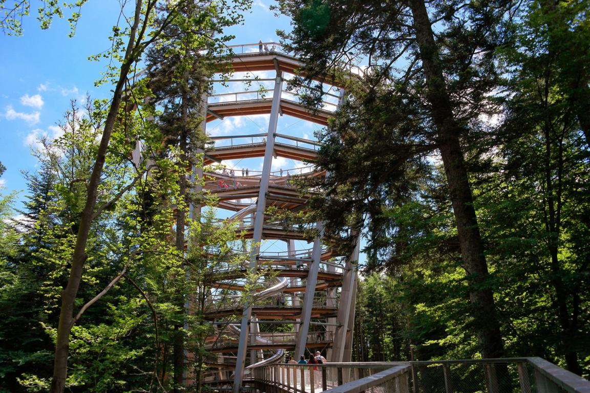 Baumwipfelpfad Bad Wildbad