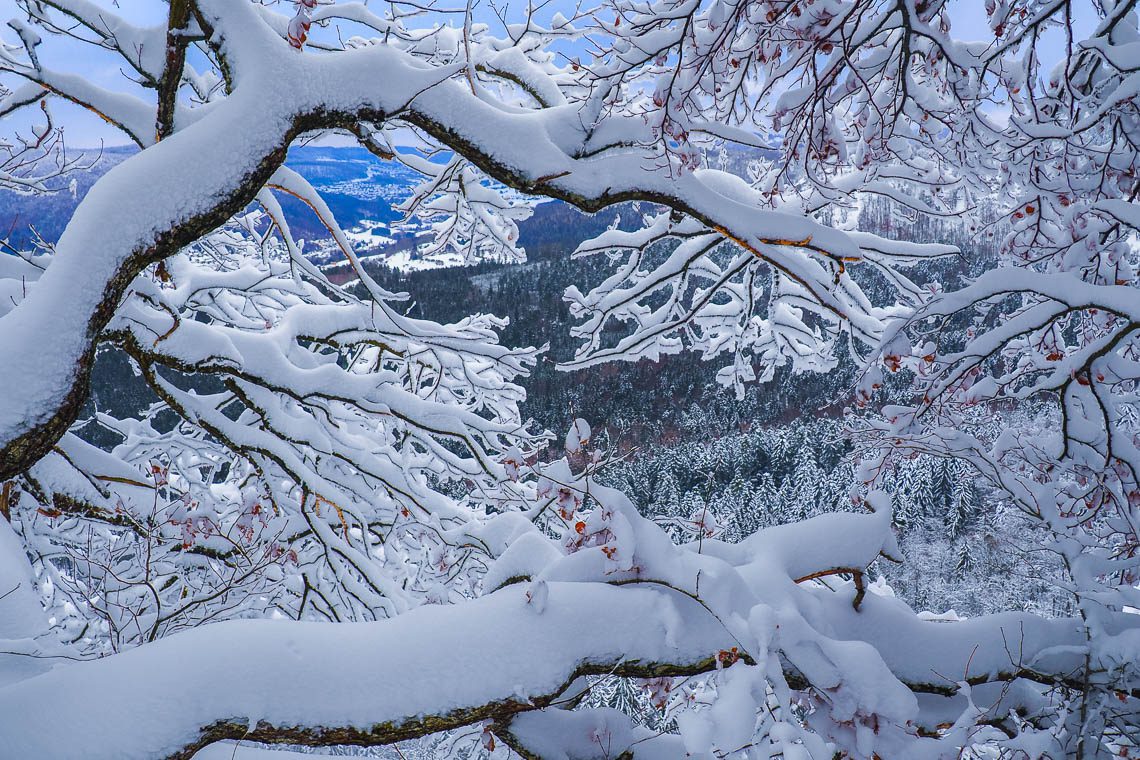 Besondere Ausflugsziele in Baden-Württemberg - Schneeschuhwandern