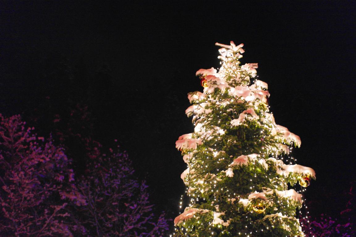 Weihnachtsmarkt in der Ravennaschlucht