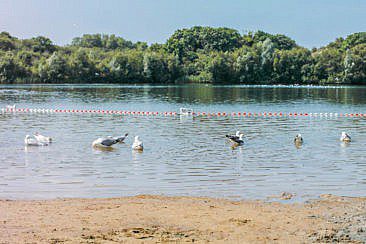 Het Wed, schönster Badesee bei Haarlem