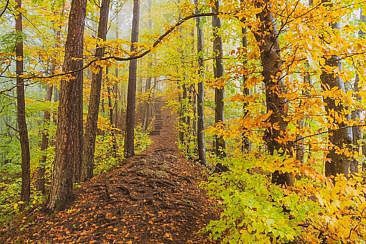 Traufgang Hossinger Leiter - Traufgänge Schwäbische Alb