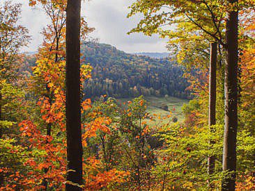 Traufgang Felsenmeersteig Schwäbische Alb
