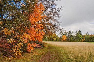 Traufgang Felsenmeersteig