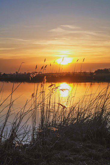 Mikroabenteuer Floßurlaub in der Wildnis bei Amsterdam