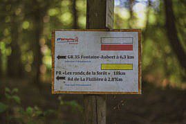 Foret Senonches Mountainbike