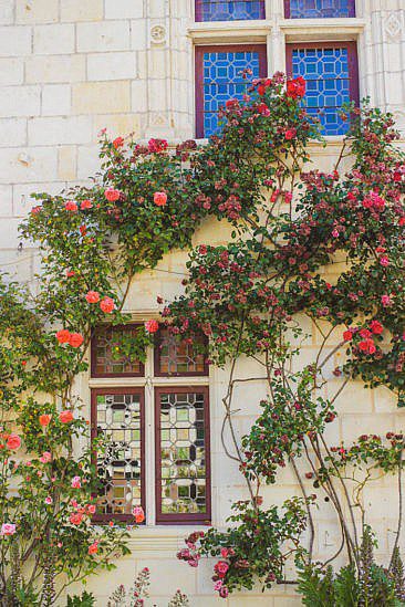 Cunault - schönes Dorf entlang der Loire