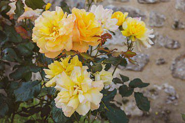 Frankreich Roadtrip Chartres