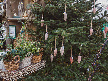 Utrecht Ausflugsziele Kasteel de Haar