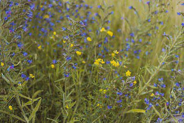 Baumhäuser Weil im Schönbuch