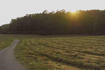 Baumhäuser Weil im Schönbuch