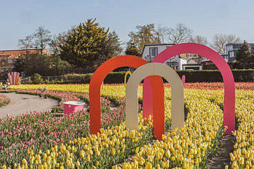 The Tulip Barn
