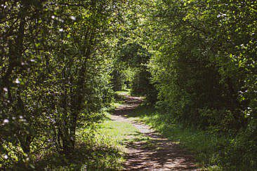 Moringerwaarden Gouden Ham Wanderung