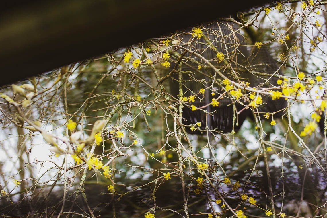 Little Escape No 2 besondere Unterkünfte Niederlande