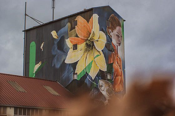 Silo Art Tour Het Bloemenmeisje