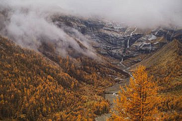Indian Summer Schweiz Wanderung Valposchiavo Cavaglia Bernina Pass