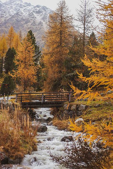 Indian Summer Wanderung Lagh da Saoseo Val da Camp