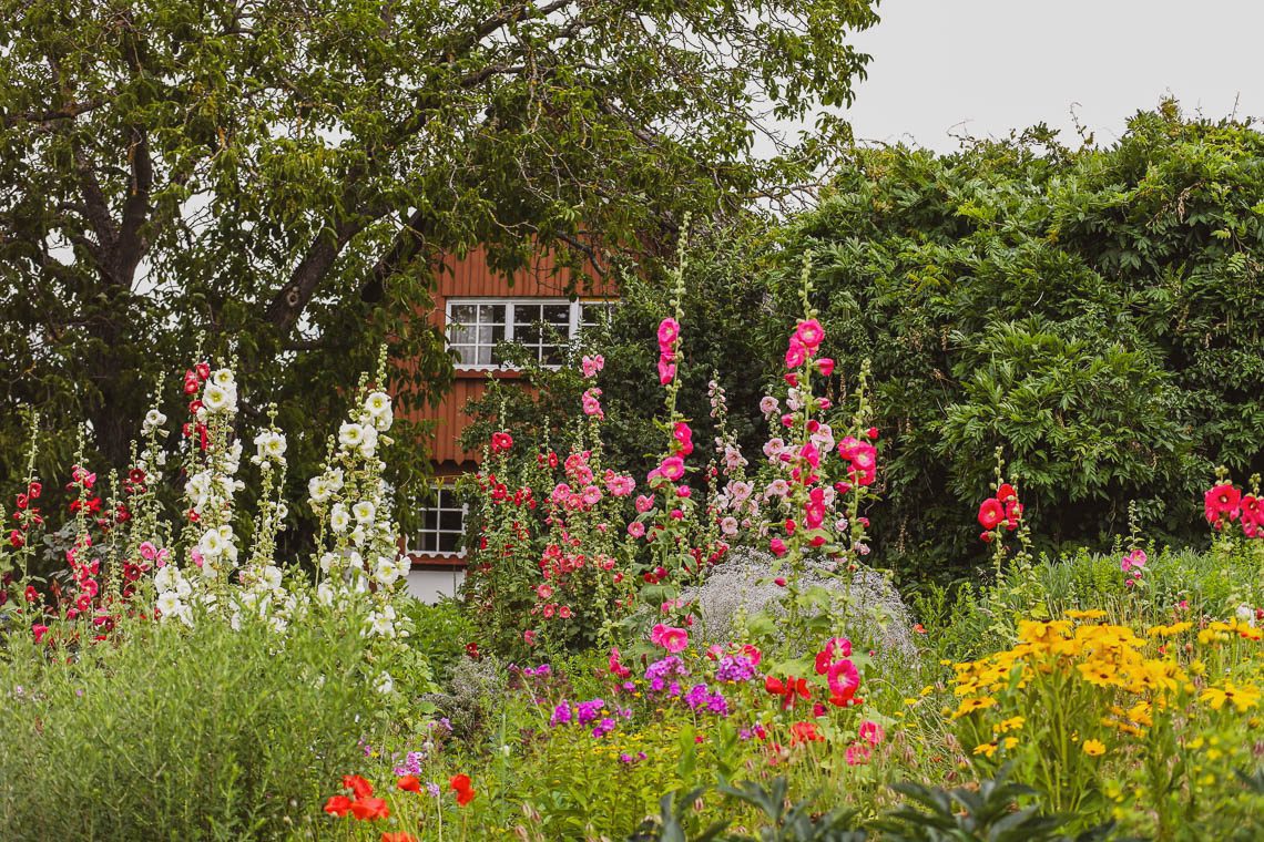 Schwarzwald Insider-Tipp Baden-Württemberg Sasbachwalden