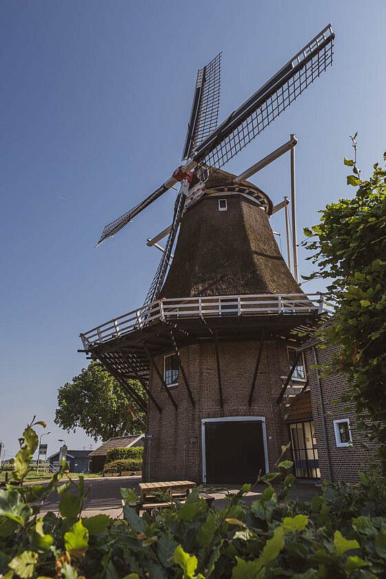 Windmühle De Zwaluw Hasselt