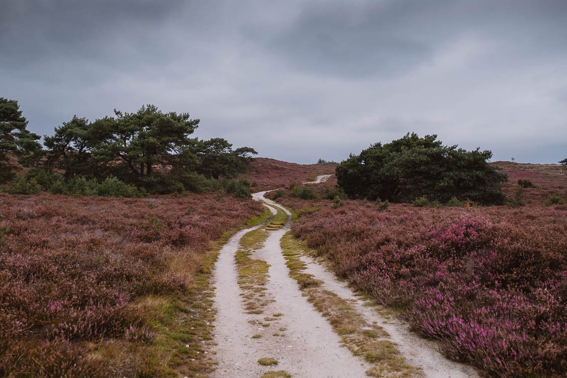 Lemelerberg Archemerberg Vechtdal Sehenswürdigkeiten