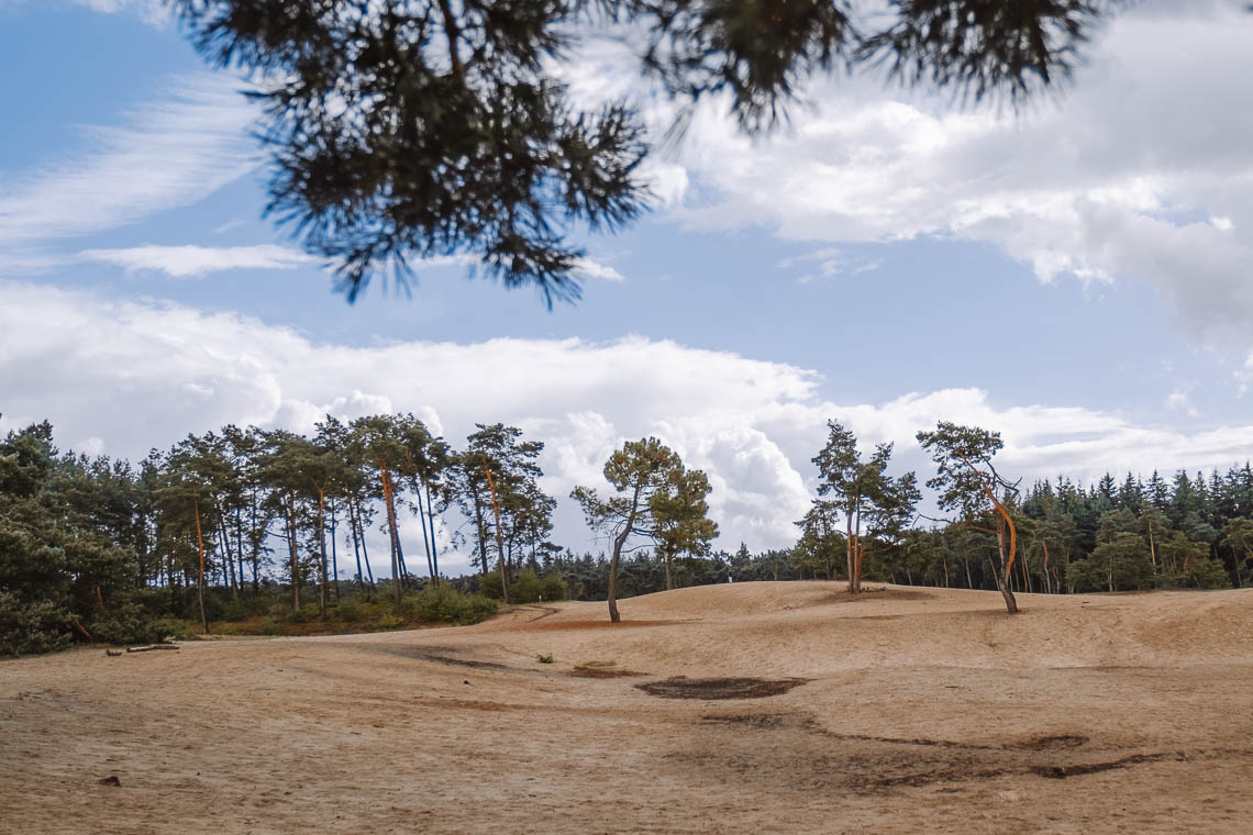 Sahara Ommen Vechtdal 1