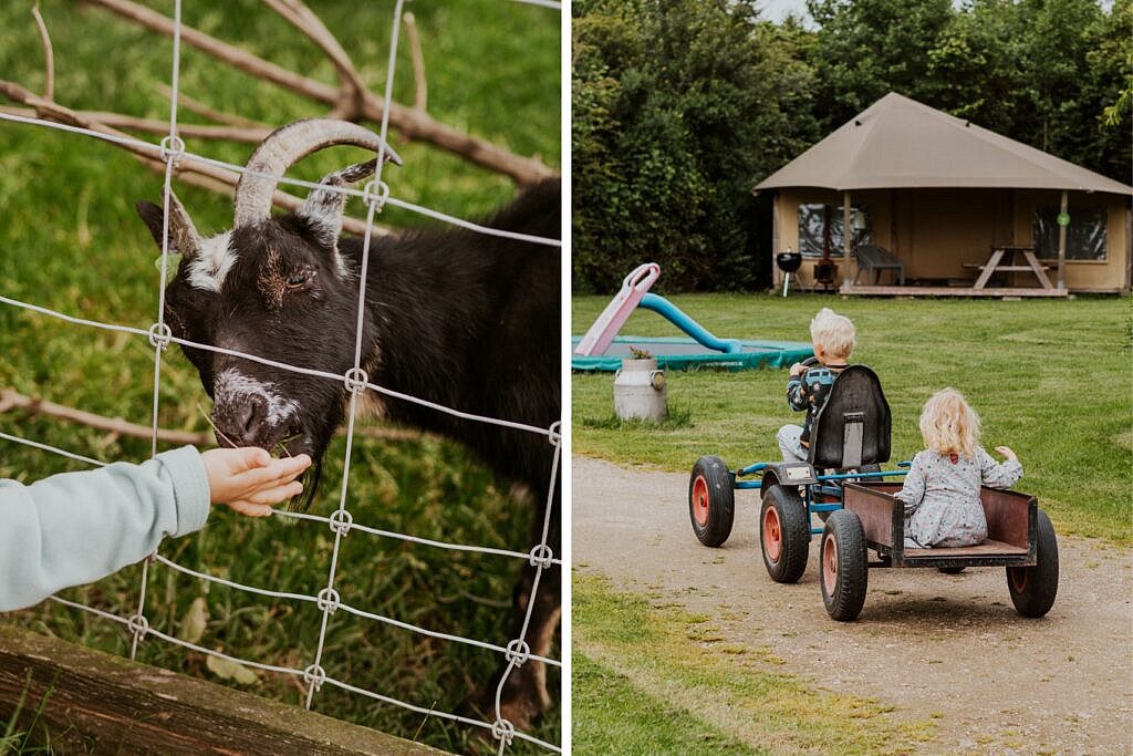 Bauernhofurlaub in den Niederlanden