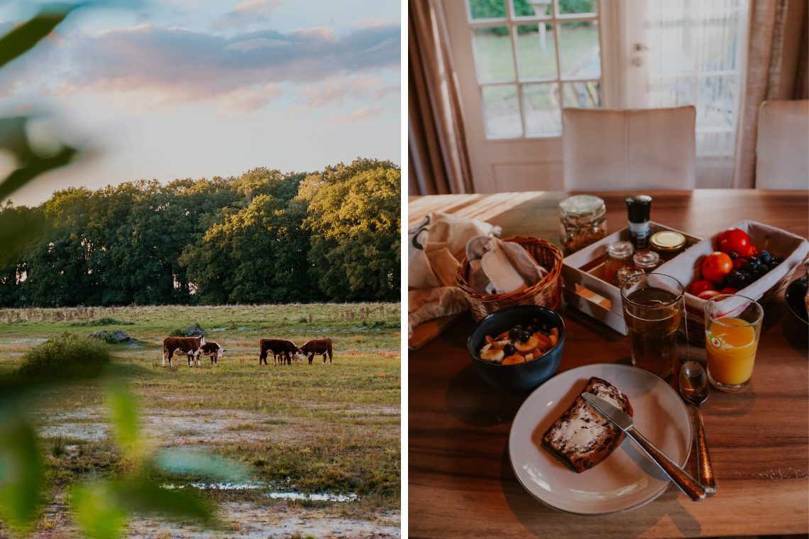 Besonders übernachten Haaksbergen Natuurlogies 4