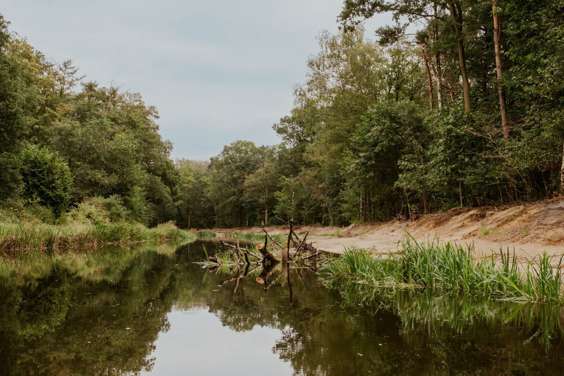 Buurser Pot Bootsfahrt auf der Buurserbeek Landgoed Het Lankheet 6