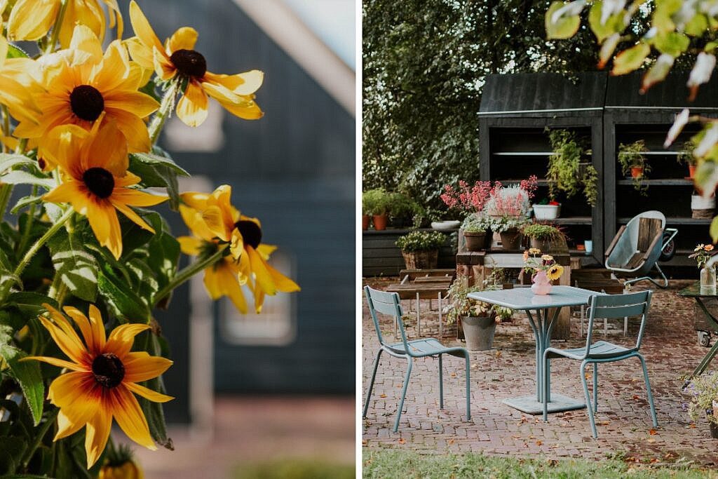 Hardenberg Tipps B&B De Rheezer Kamer 9