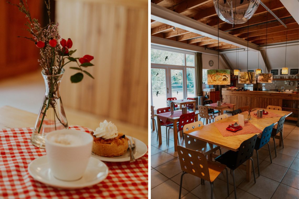 Wandern Buurserzand Haaksbergen Aktivitäten 2