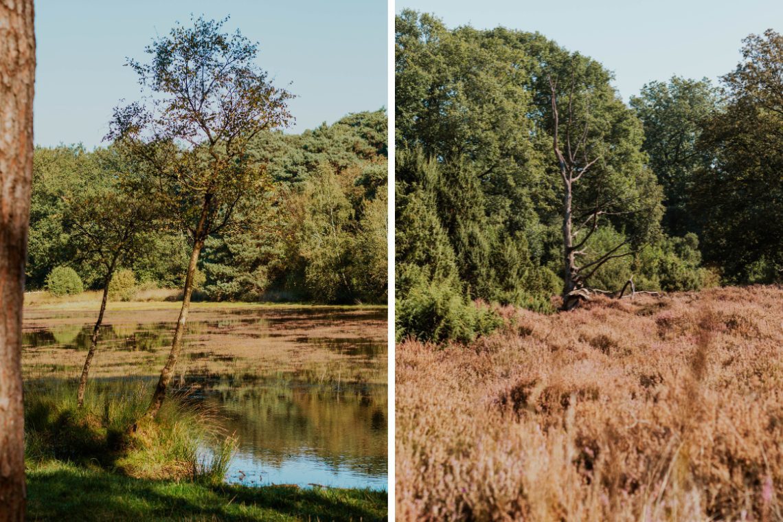 Wandern Buurserzand Haaksbergen Aktivitäten 6