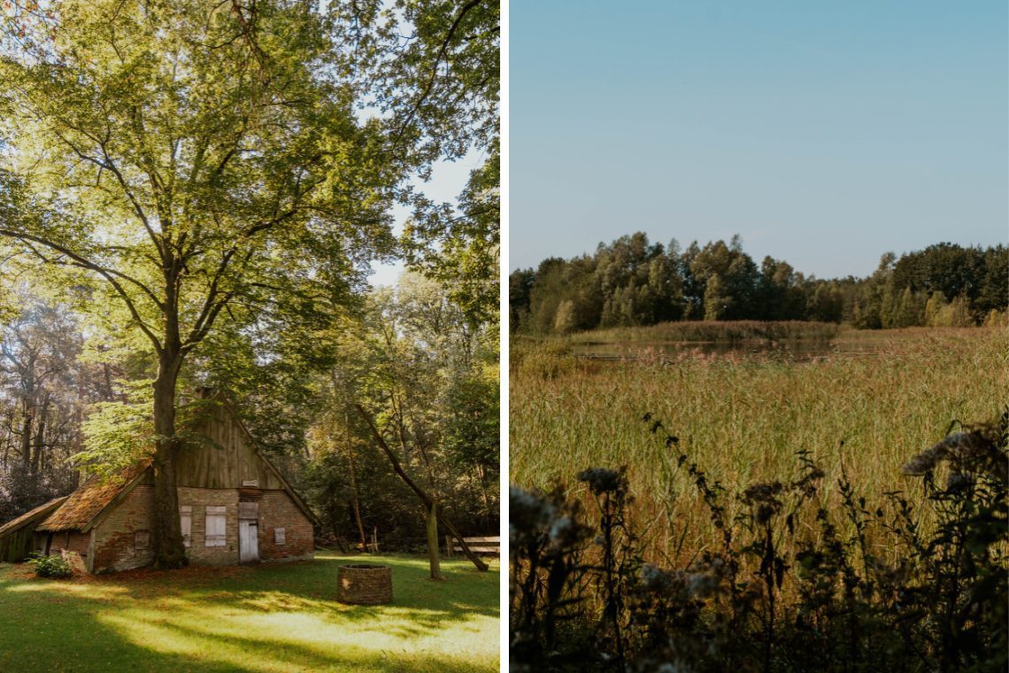 Wandern Buurserzand Haaksbergen Aktivitäten 7