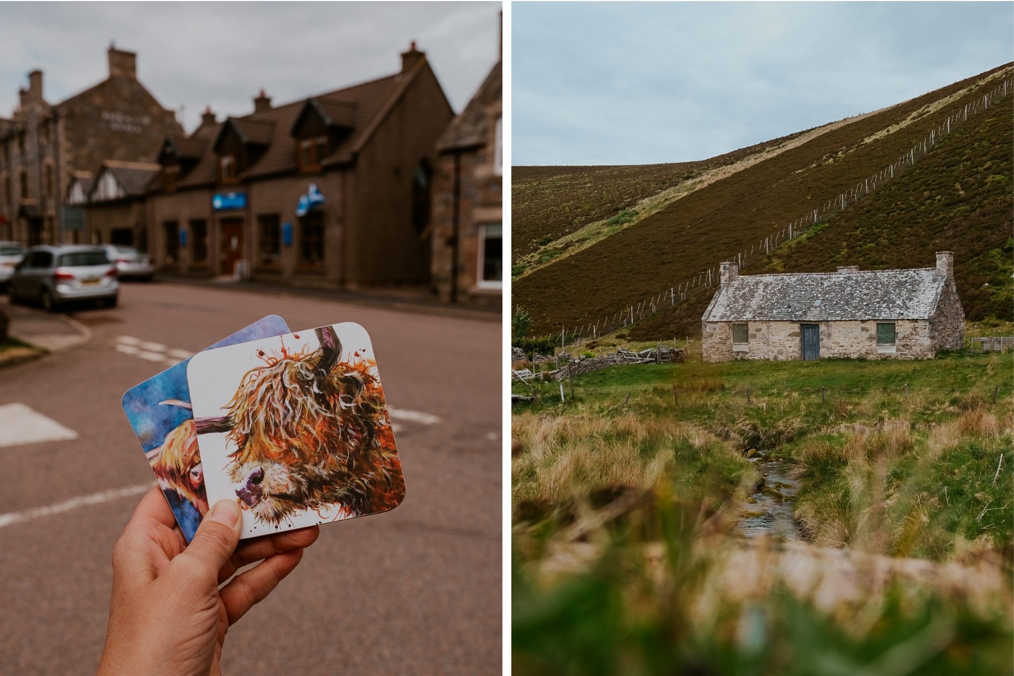 Cairngorms Nationalpark Schottland 21