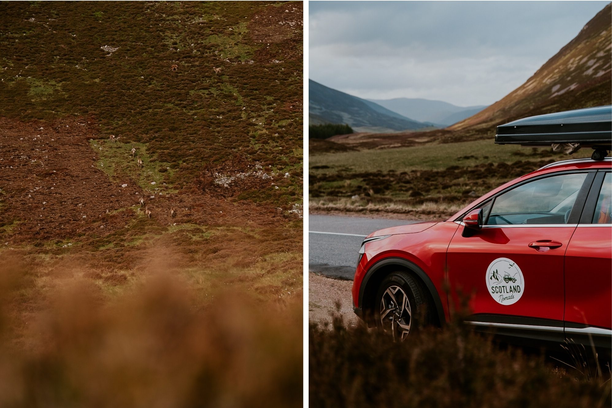 Cairngorms Nationalpark Schottland 23