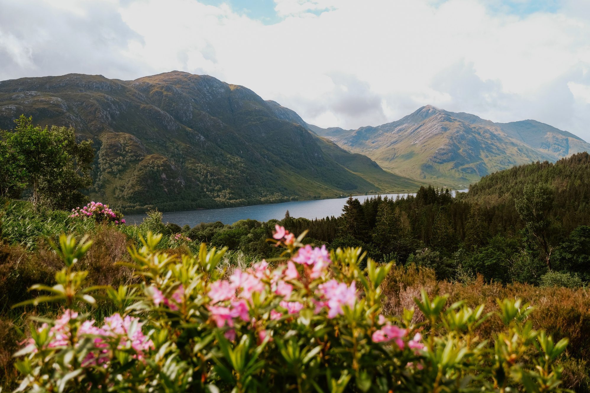 Glenfinnan Viaduct Trail26