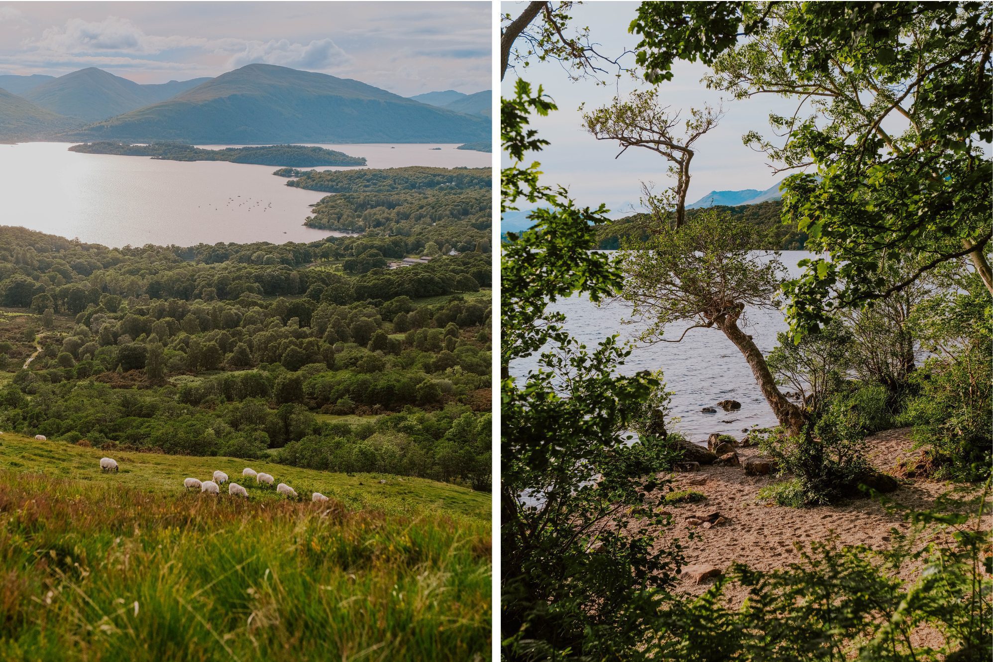 Loch Lomond Wanderung Schottland
