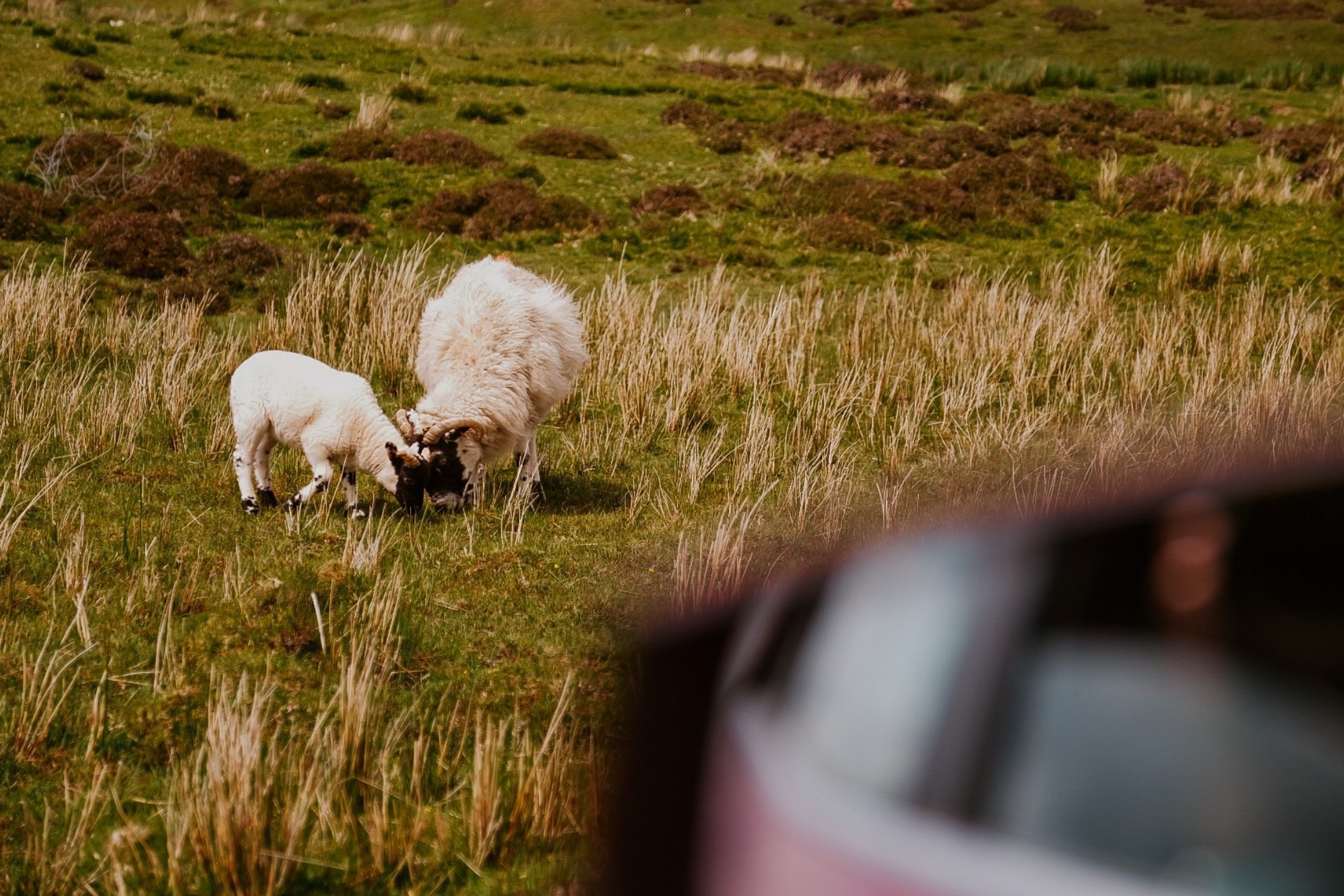 Schottland Roadtrip Route