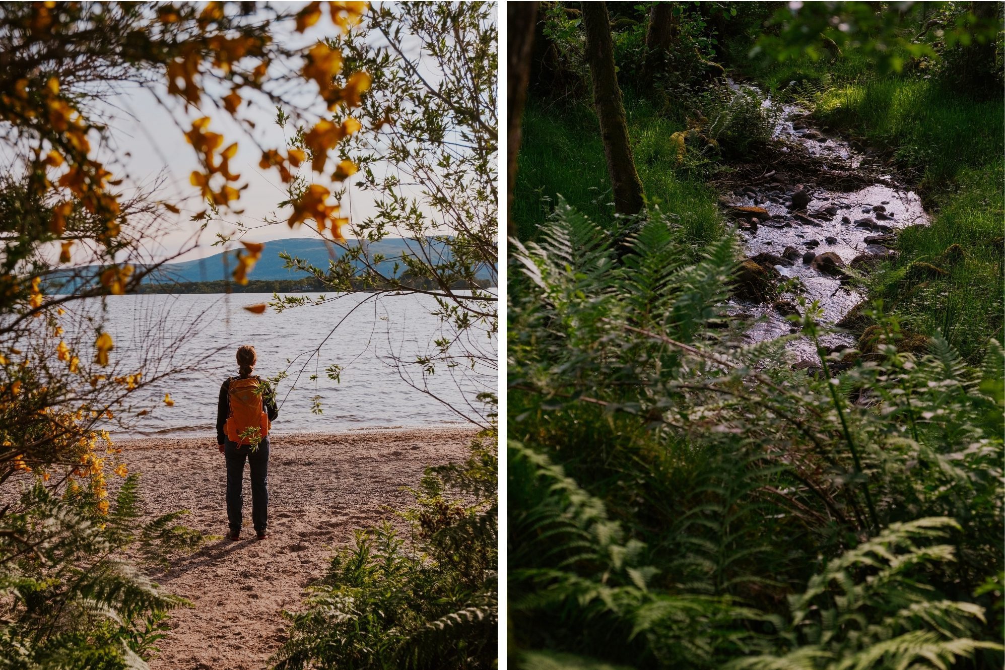 Schottland Rundreise Route Loch Lomond 10