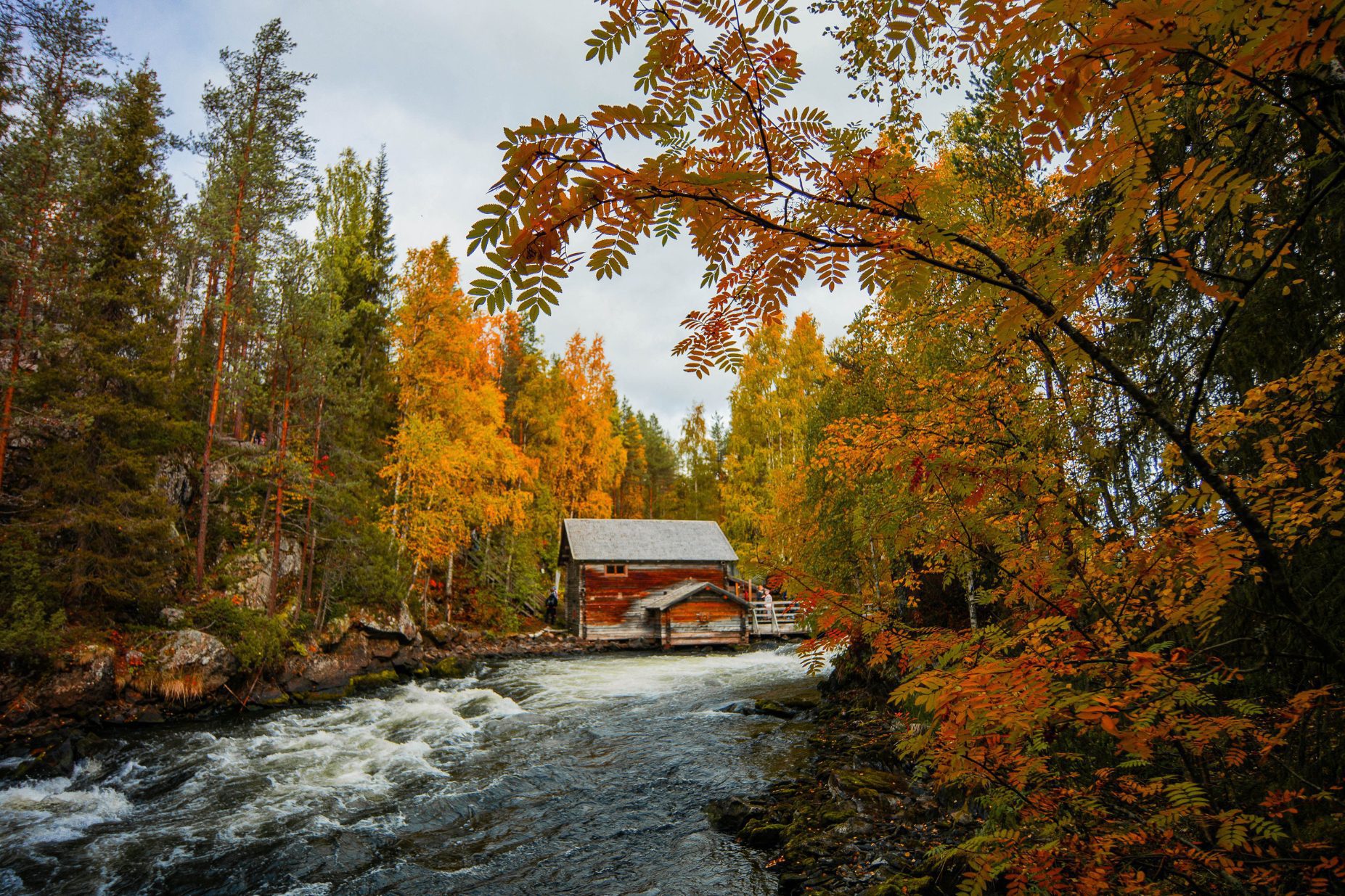Der Herbst in Finnisch Lappland gleicht einer wahren Farbexplosion. Kurz und knackig.